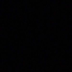 Meet your Posher, Chanel